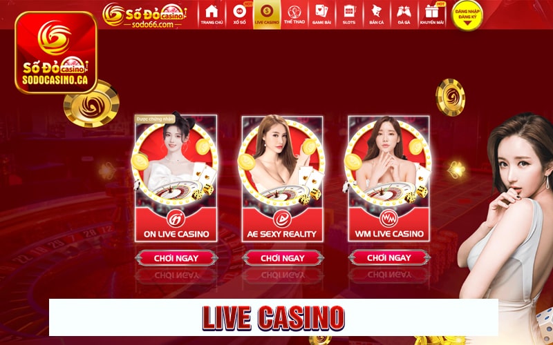Sơ lược về sảnh live sodo casino